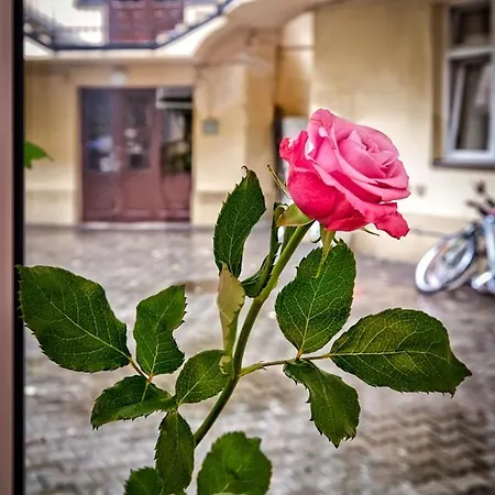 Art Deco & Kazimierz & Old Town Apartment Krakow